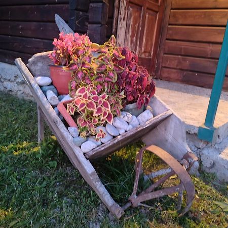 Bungalovi Vukovic Mojkovac Exterior foto