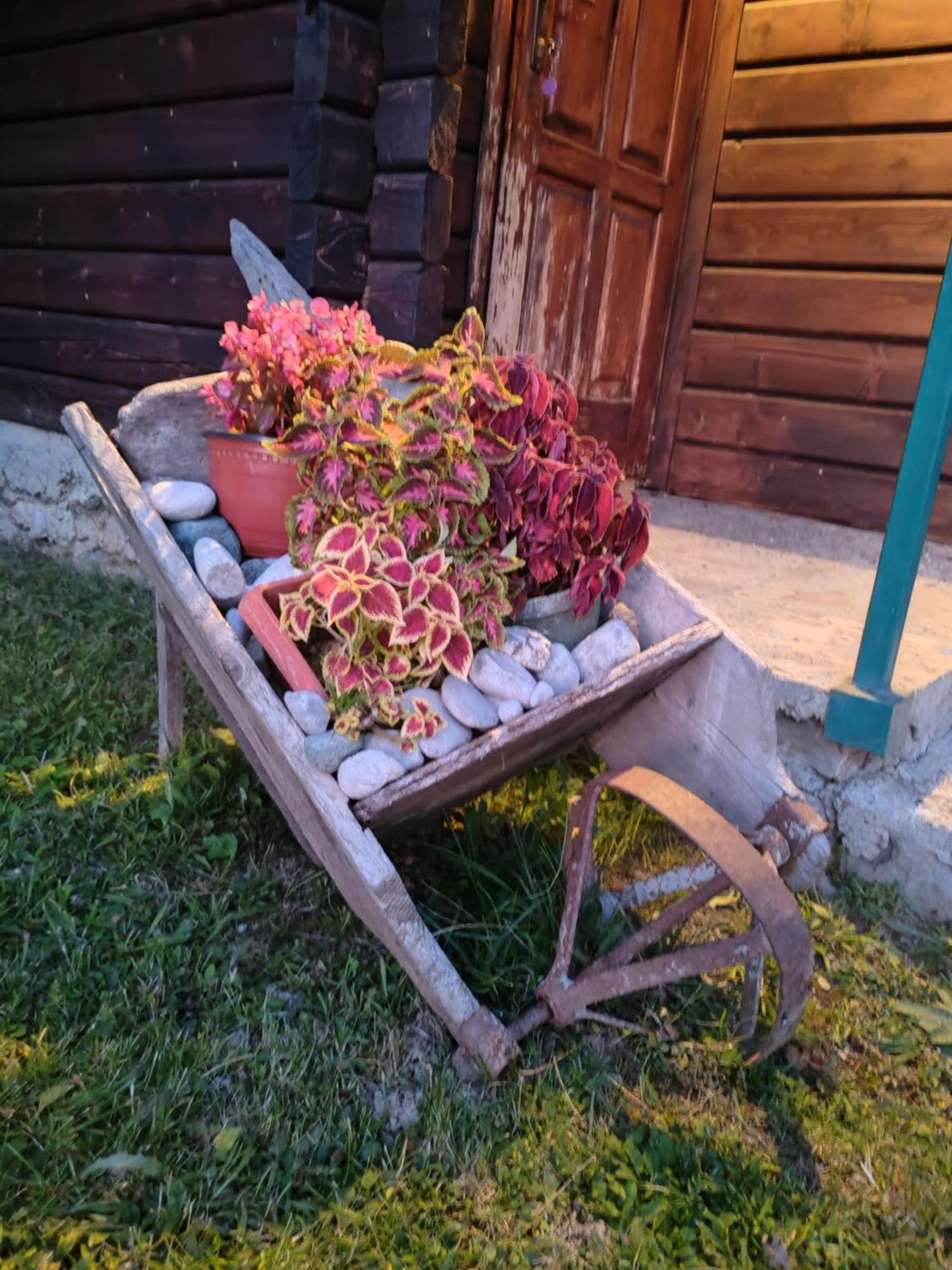 Bungalovi Vukovic Mojkovac Exterior foto