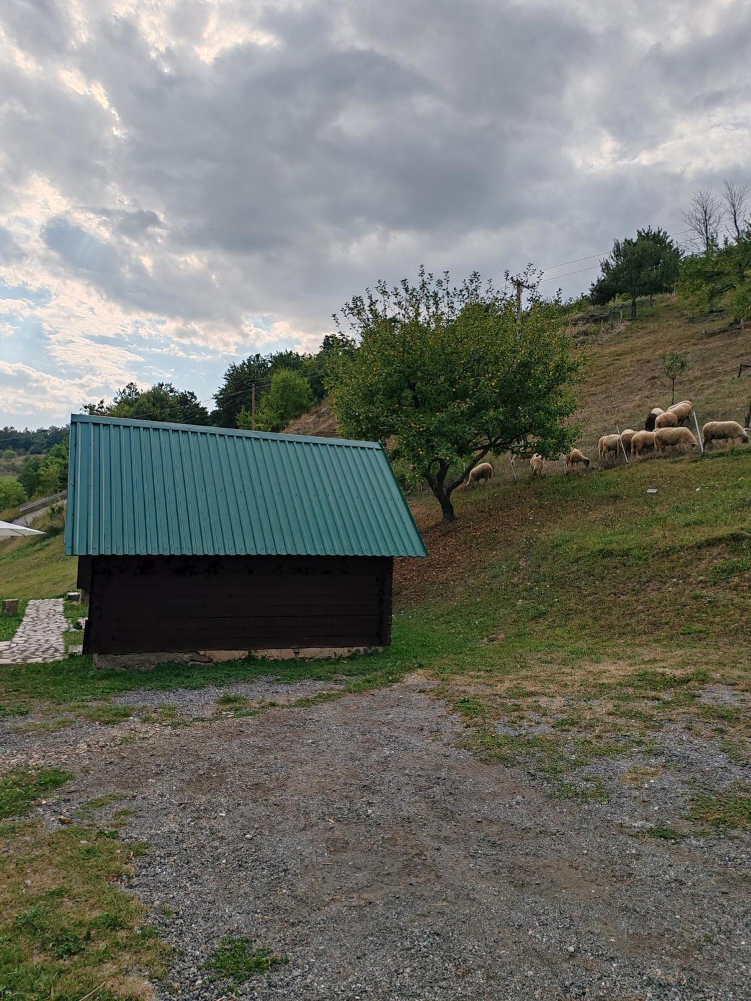 Bungalovi Vukovic Mojkovac Exterior foto